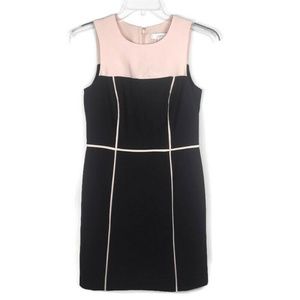 Ann Taylor Loft Sheath Dress Sleeveless